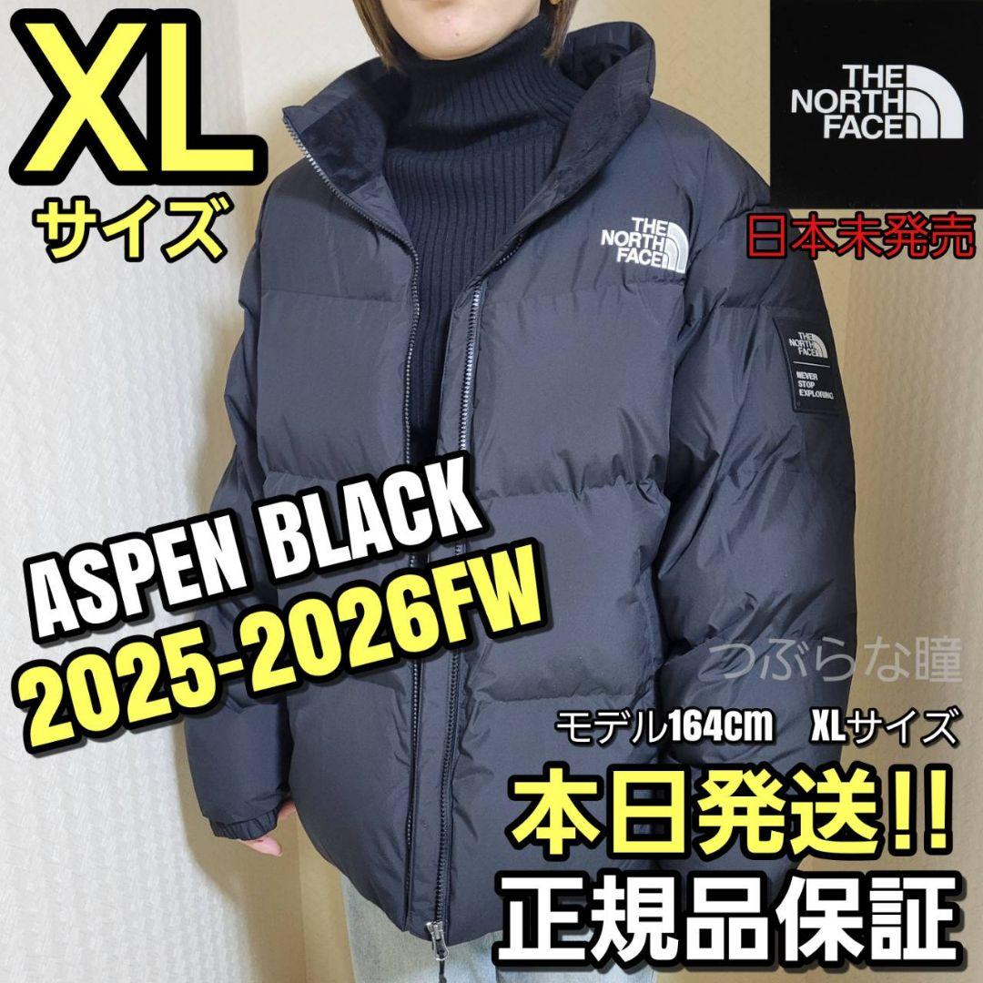 THE NORTH FACE ASPEN XLダウンジャケット 黒