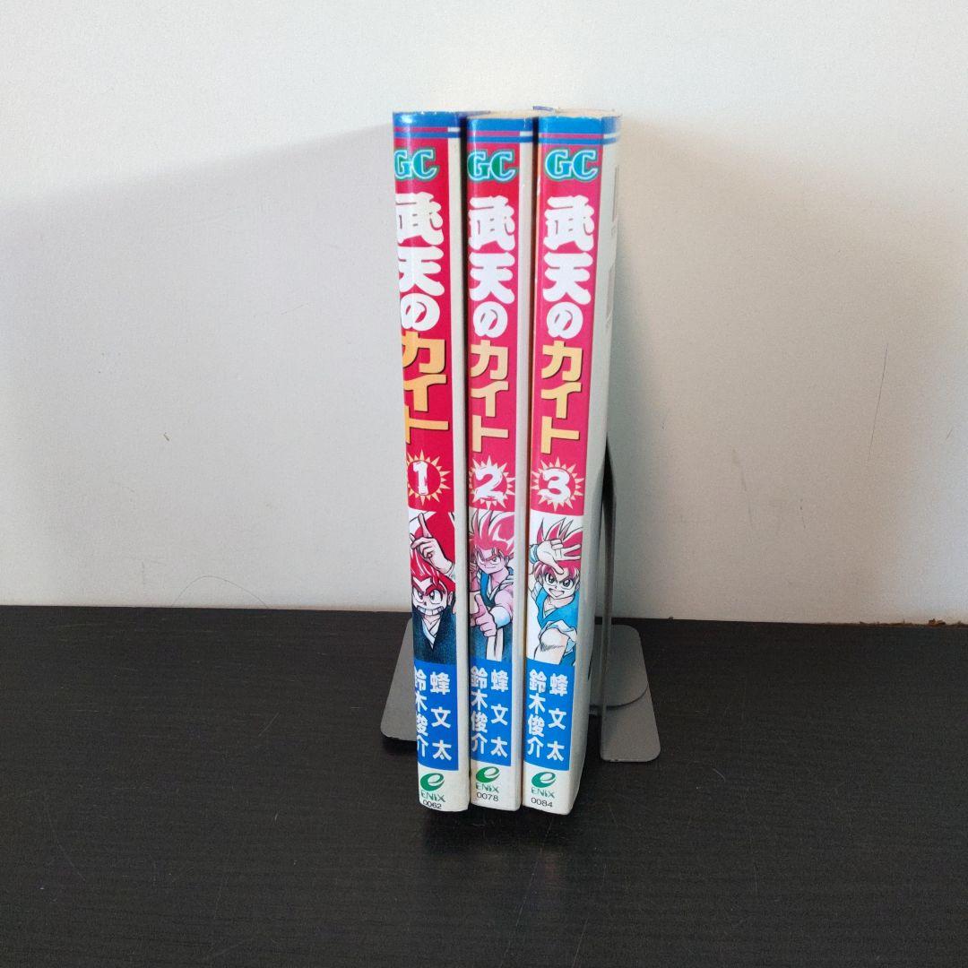 稀少 武天のカイト 全3巻完結セット ガンガンコミックス 蜂 文太
