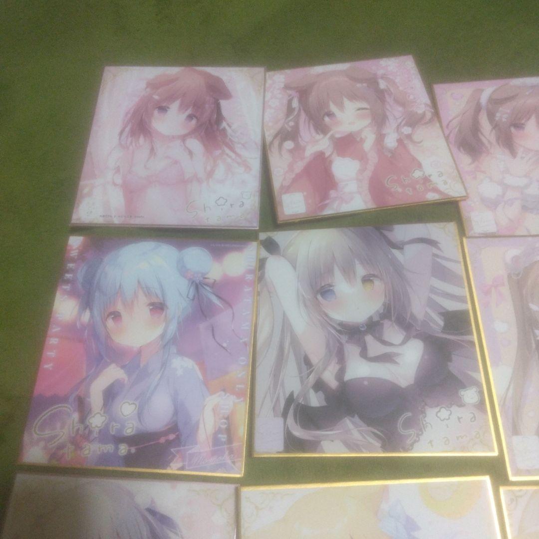 ⑅*⃛様 しらたま　しらたまこ　ミニ色紙　きゃべつそふと　あまいろショコラータ