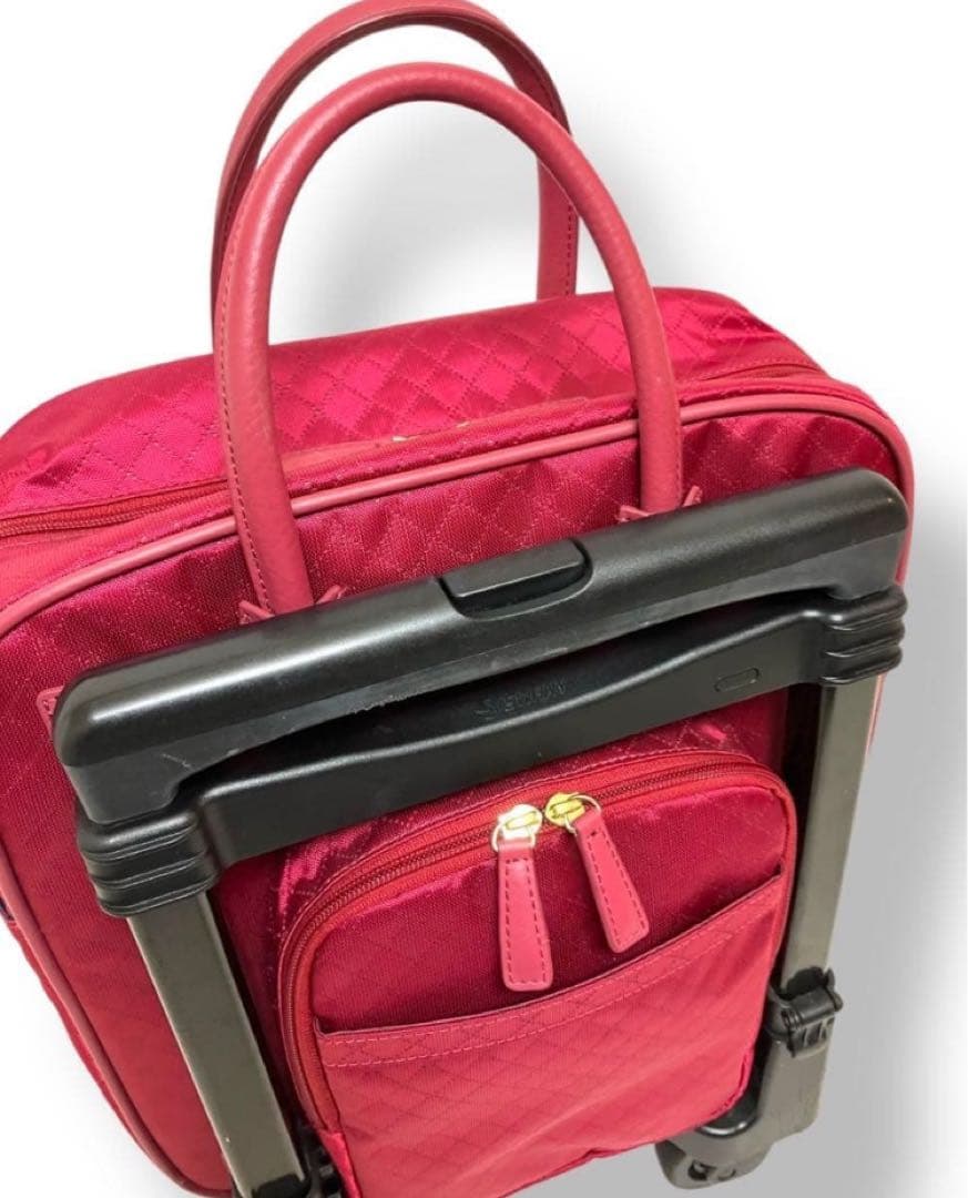 ✨美品✨送料無料 Swany スワニー キャリー イエッサ ローズ