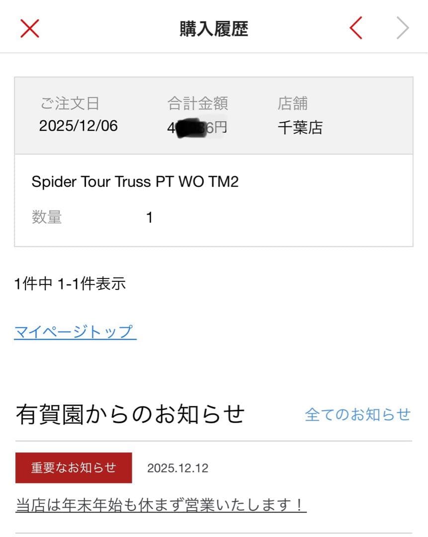 【超美品】TaylorMade Spider Tour TM2 パター