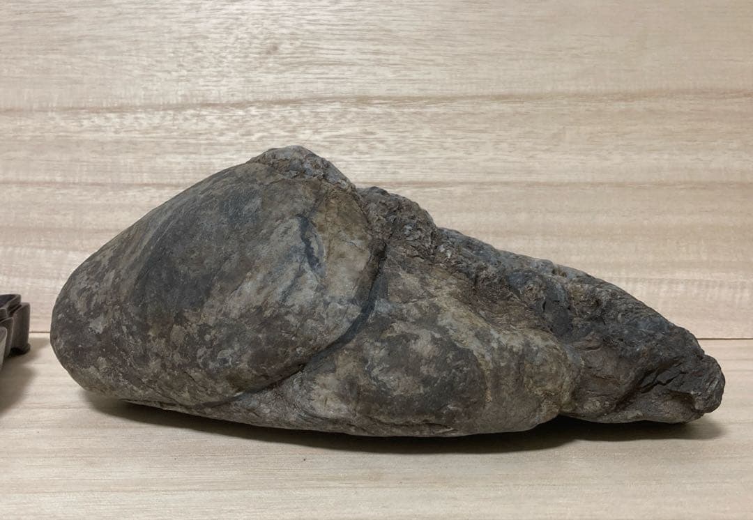 八瀬石 加茂七石 畚下石 水石 鑑賞石 - メルカリ