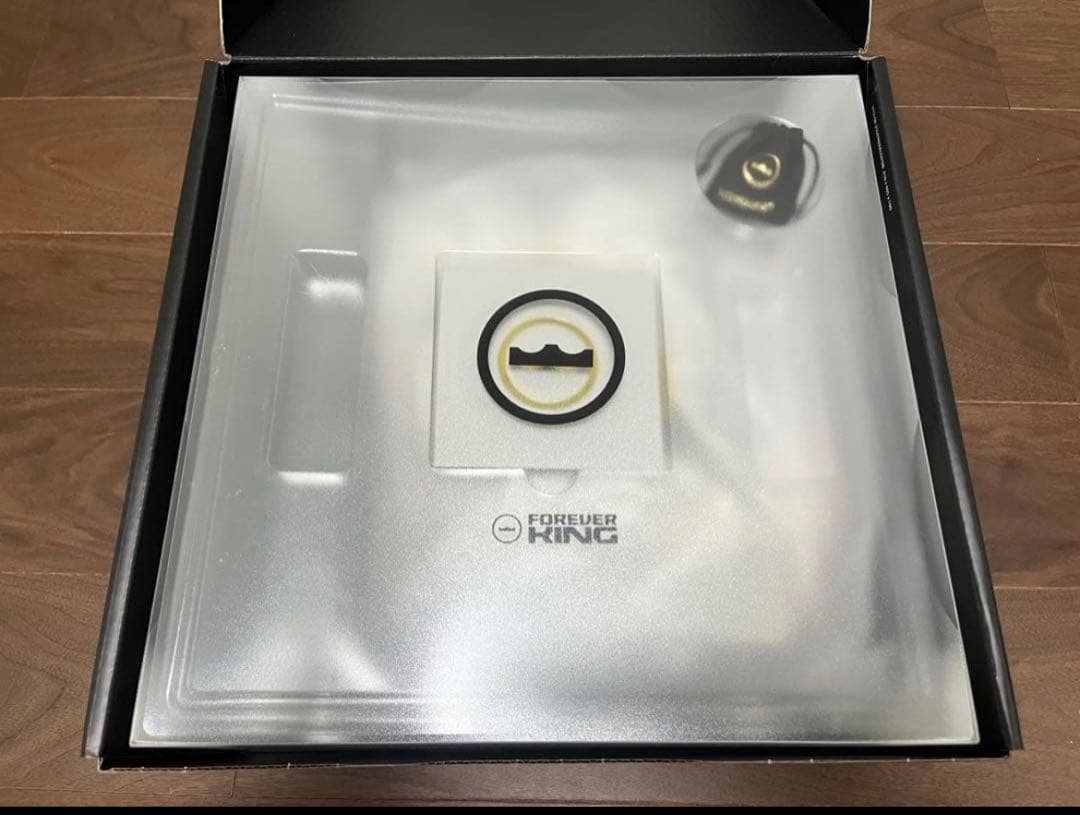 IRVING【新品】LEBRON XXIII EP レブロン23 28cm