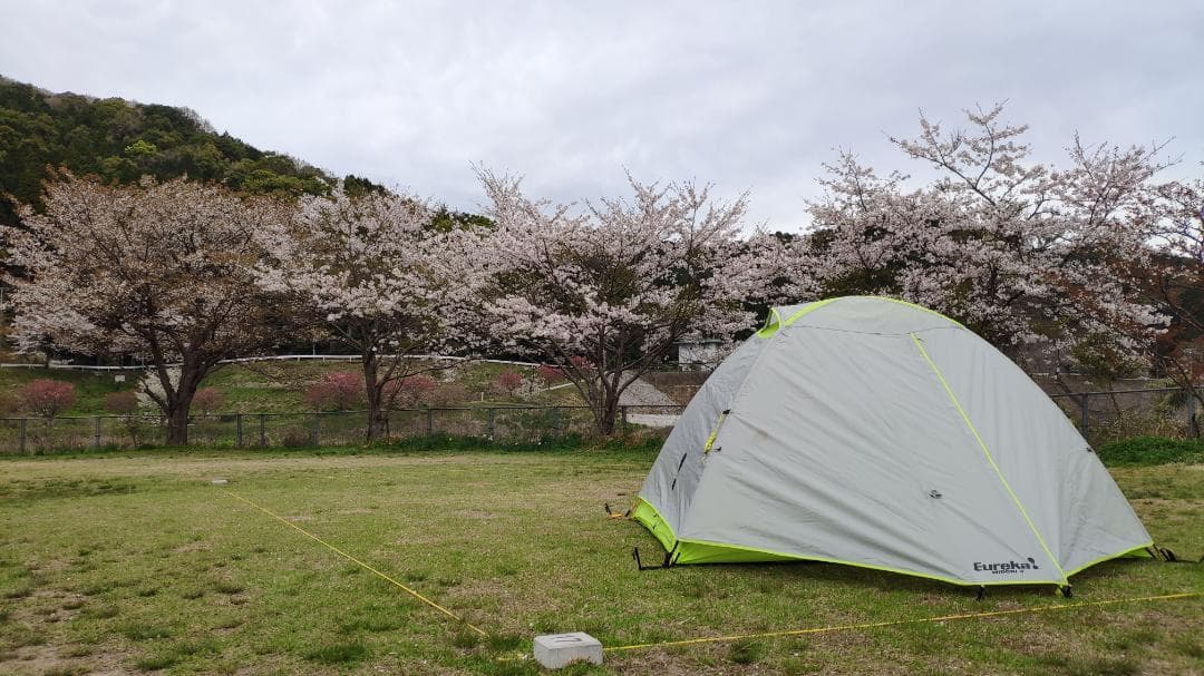 ざぁーすthearth 床上手 完売品 シックスボーイ