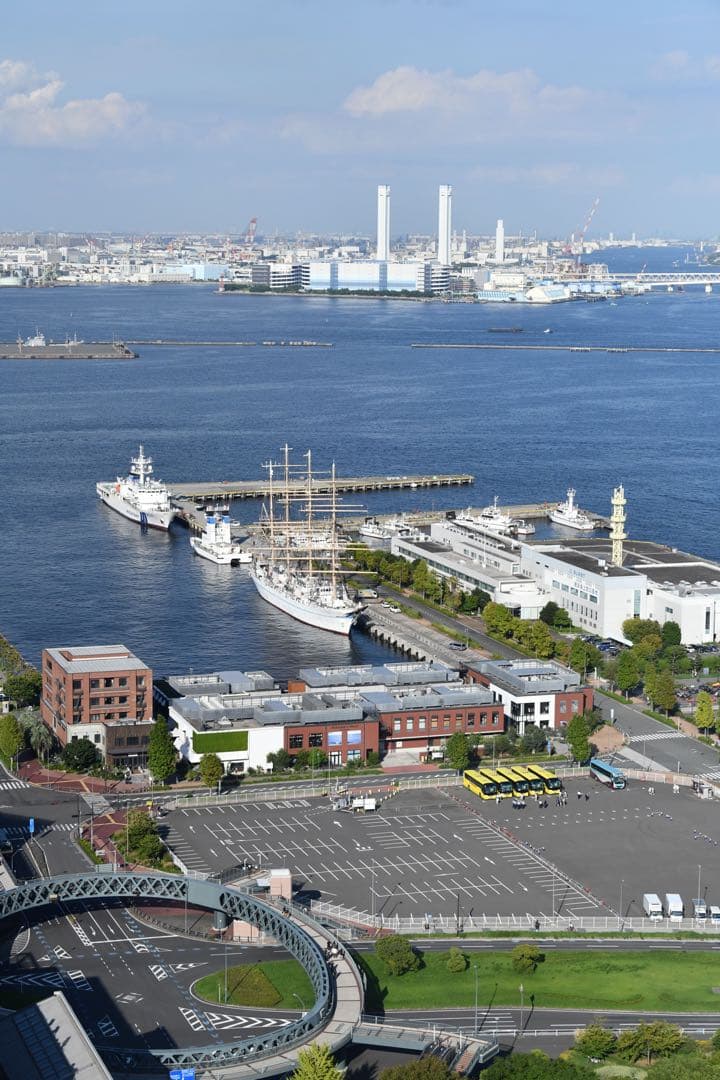 ニコン 70-200mm f2.8E FL ED VR動作確認　実用美品