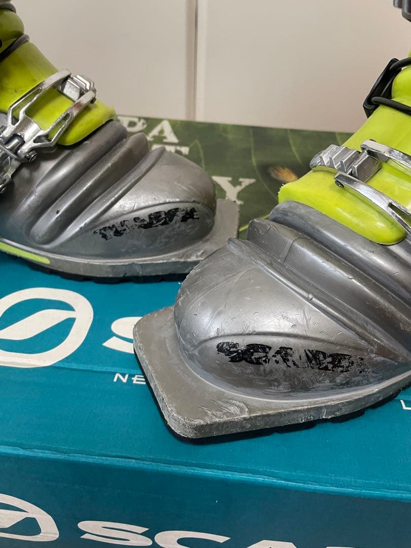 スカルパT1レディース　24センチ