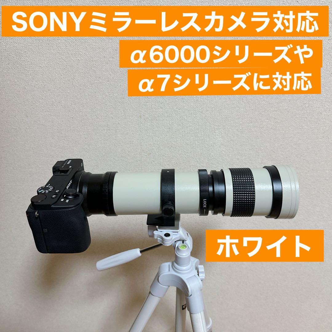 緊急価格！初心者OK！SONYミラーレスカメラ用望遠レンズ！遠く！便利な袋付き！