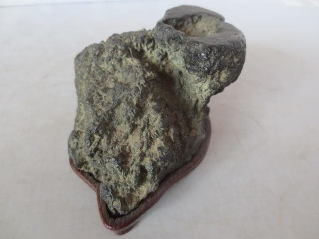 【艸】 R7/08/18-1　加茂川石　巌上溜まり石　幅11.5㎝　水石