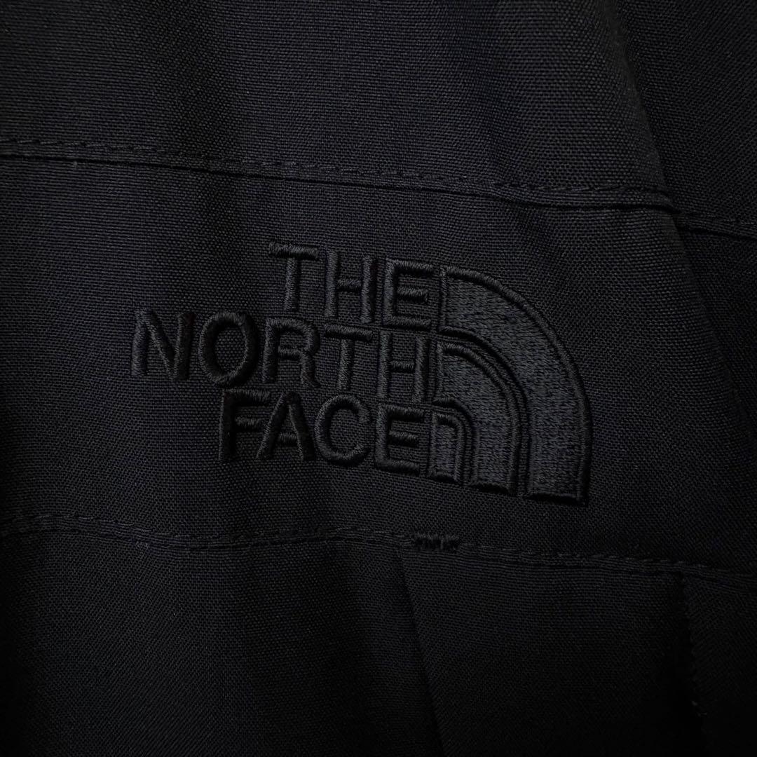 【激レア】THE NORTH FACE マクマード　ダウンジャケット　コート　黒