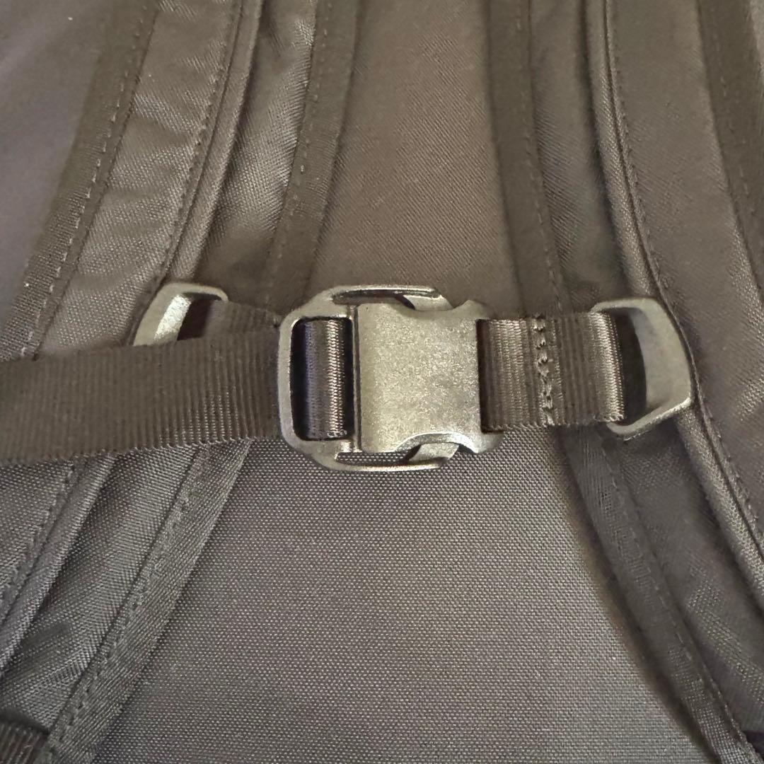 【美品】ear PAPILLONNER　バックパック　ワオキツネザル　タグ付き