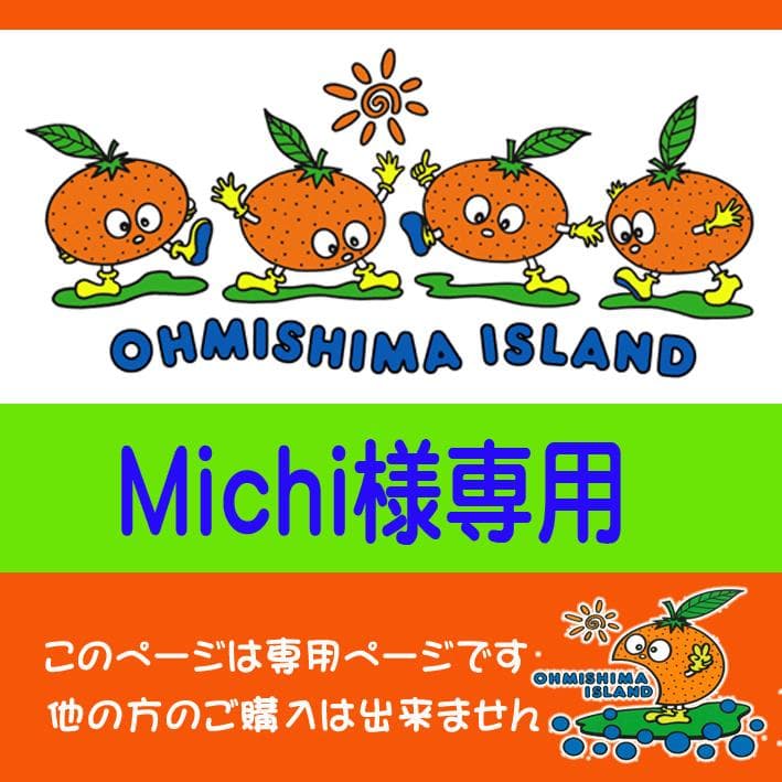 Michi様専用】みかんジュース1000ml×12本×2個口発送
