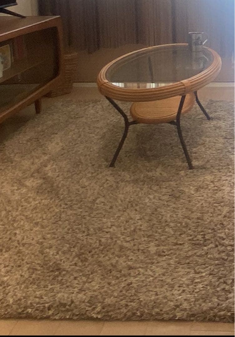 ベージュ シャギーラグ ieno - from earth SABAKU | 激安通販のイー