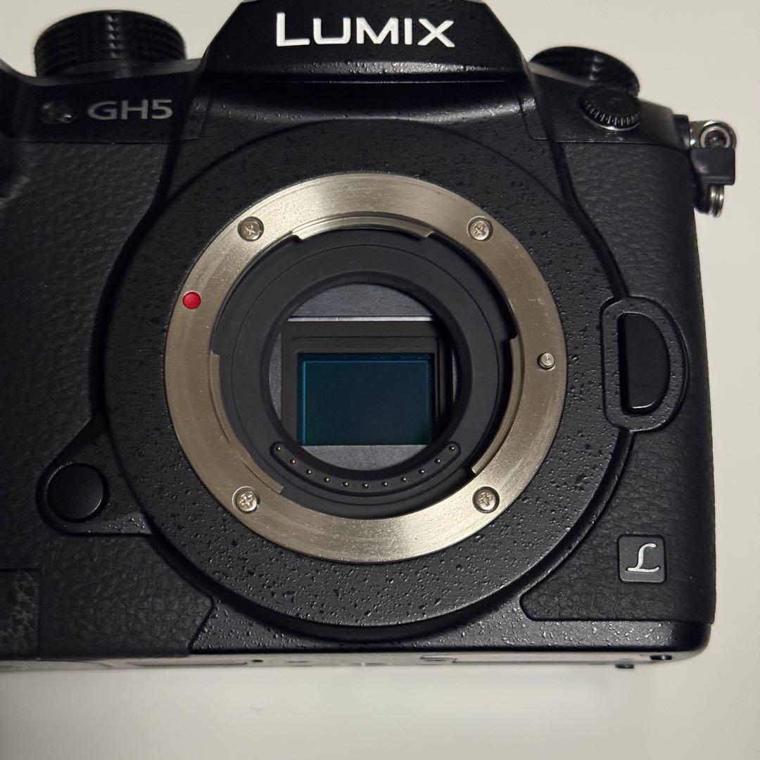 LUMIX GH5 ミラーレスカメラ 本体 DC-GH5