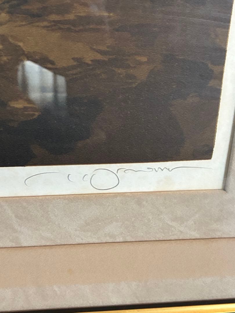 天野喜孝 出会い リトグラフ 403/450 ヴァンパイアハンターD