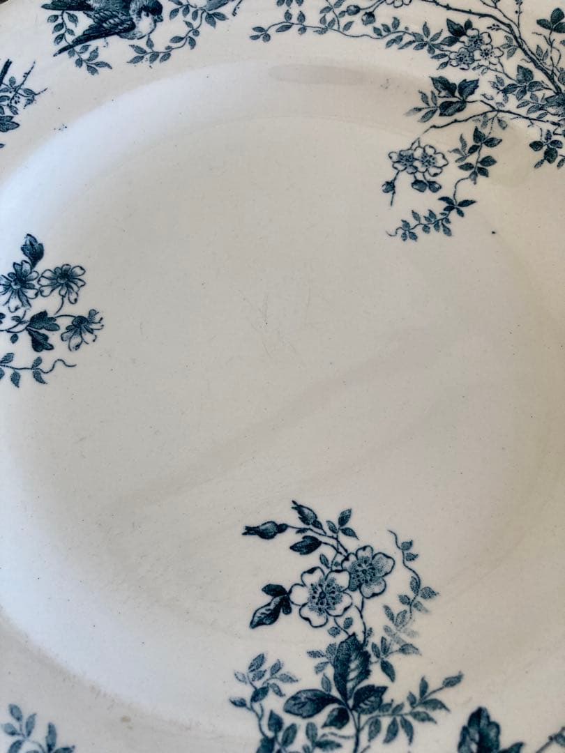 フランスアンティーク　お皿　プレート　ロンウィ　小鳥柄