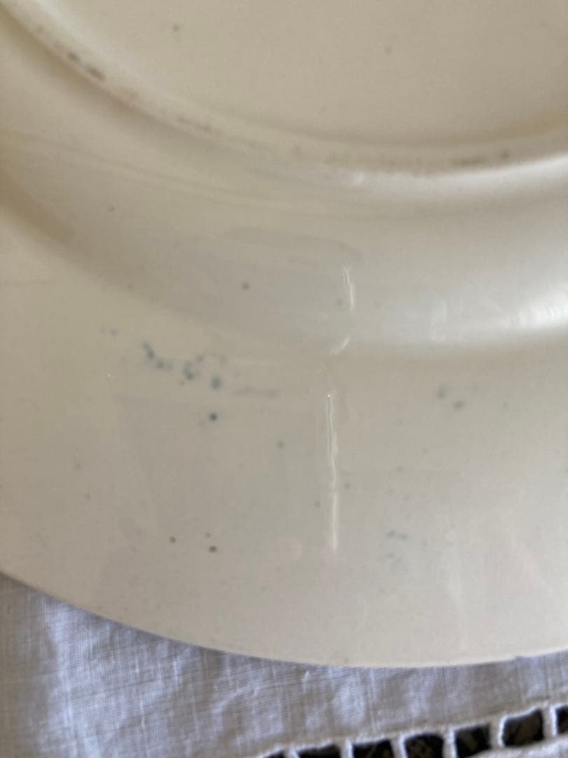 フランスアンティーク　お皿　プレート　ロンウィ　小鳥柄