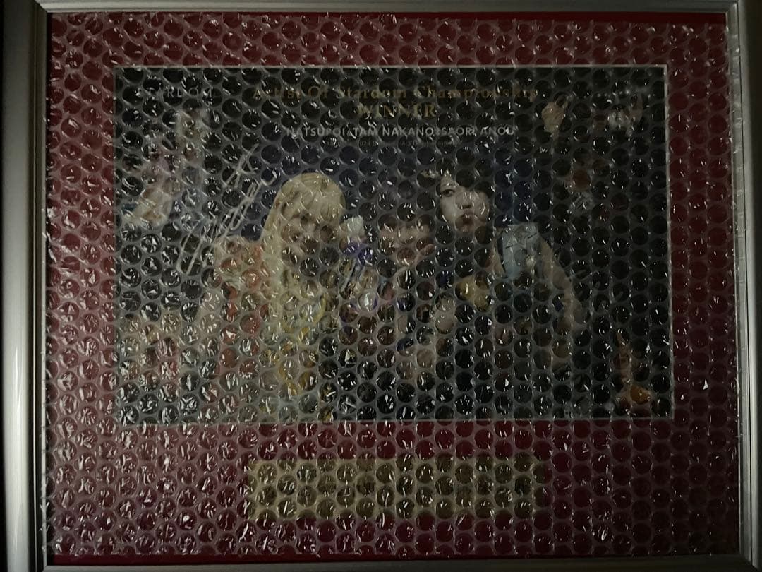 中野たむ＆なつぽい＆安納サオリ 直筆サイン入り記念フォトフレーム