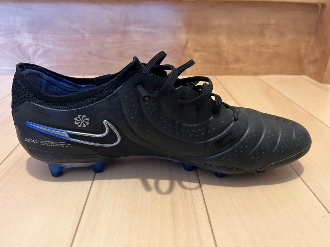 ティエンポレジェンド10 AG