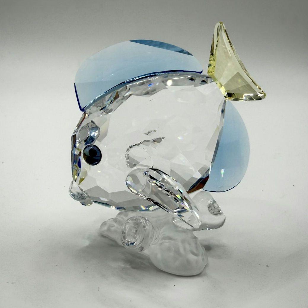 スワロフスキー SWAROVSKI SCS20 フィギュア ナンヨウハギ 箱付 - メルカリ