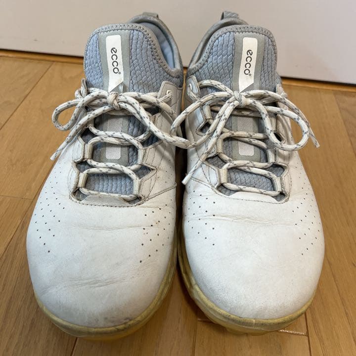 25㎝【ecco ゴルフシューズ】BIOM C4 スパイクレス