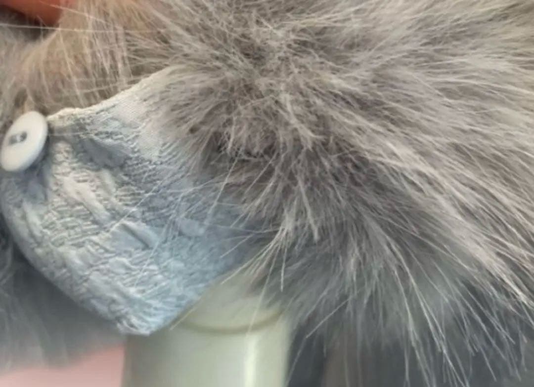 エムズグレイシー♡2025新作♡ライトブルー♡パフスリーブ♡ワンピース♡40