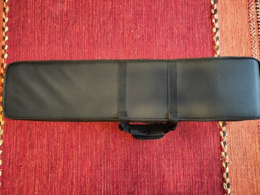 付属品充実！二胡本体と一式 ケース・教本DVD付き