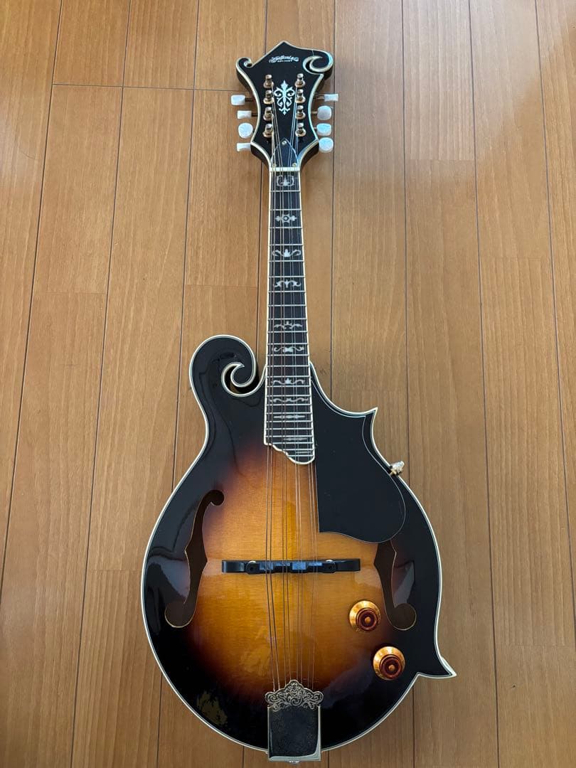 Stafford&Co. エレキ フラットマンドリン