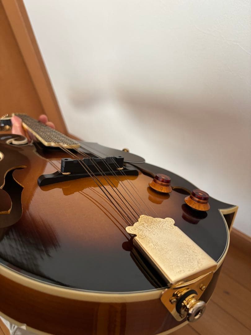 Stafford&Co. エレキ フラットマンドリン