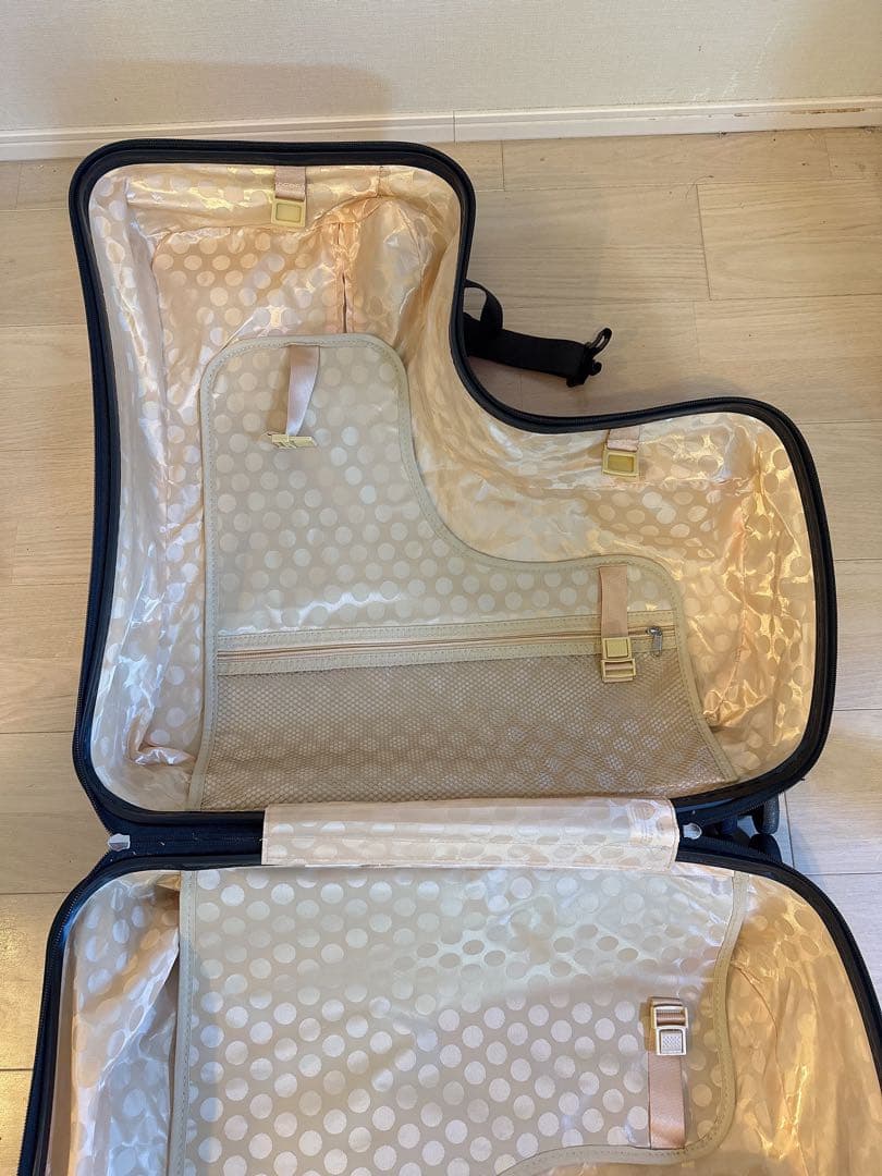 ノリッコ　キャリーケース　NORICCO 子載せ