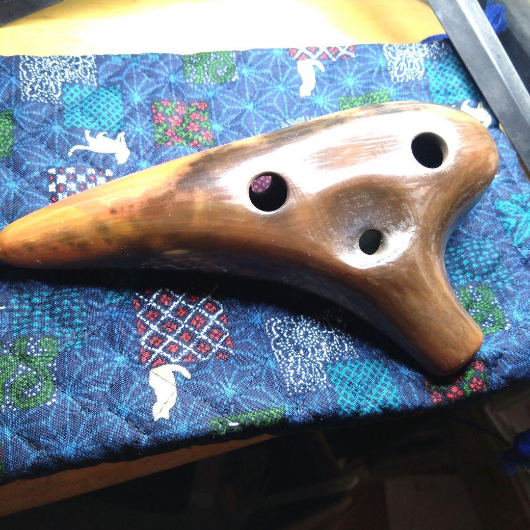 pieta EXcellent ⅣC wild