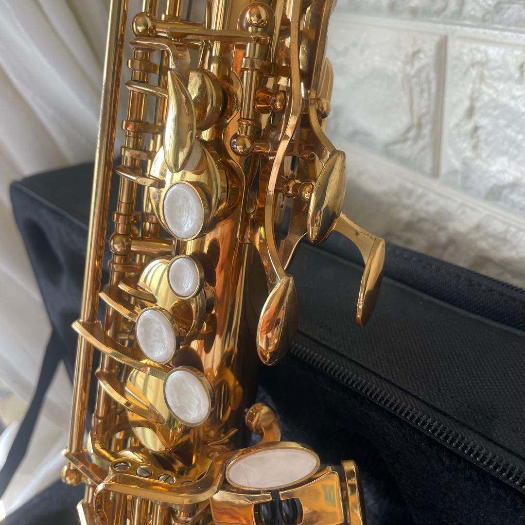 SELVA アルトサックス　初心者　入門DVD 取り扱い説明書 付き　極美品！