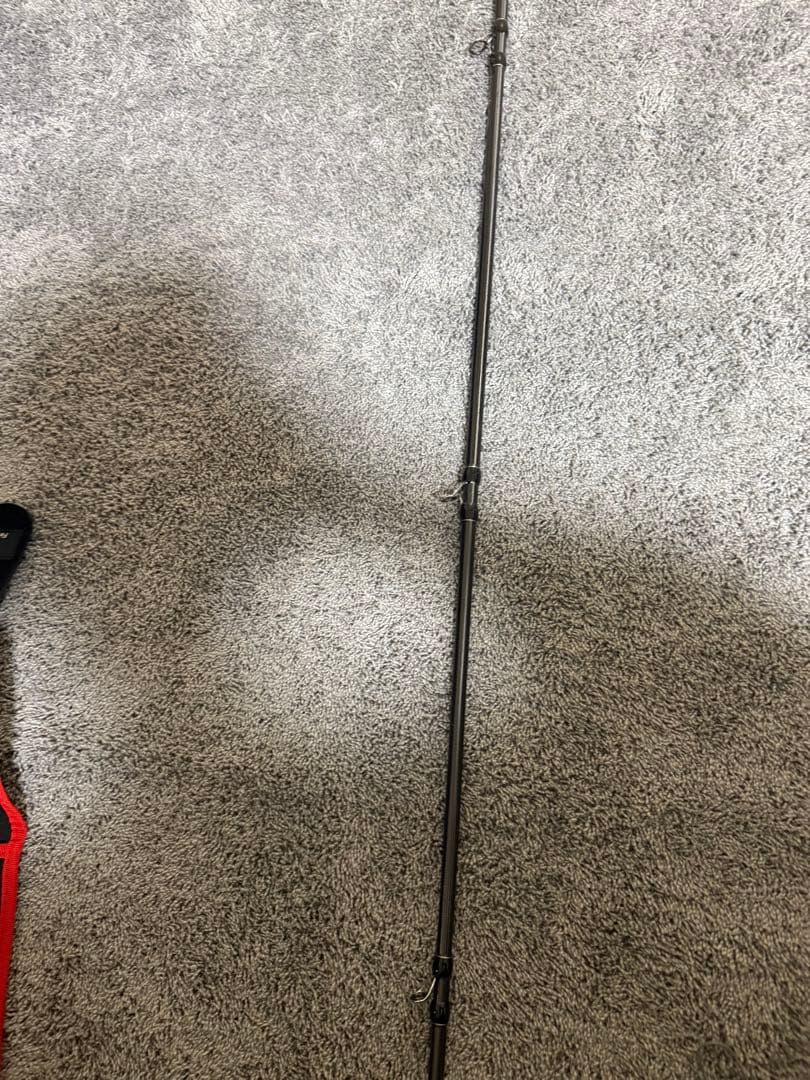 フィッシュマン ブリスト マリノ 9.9h