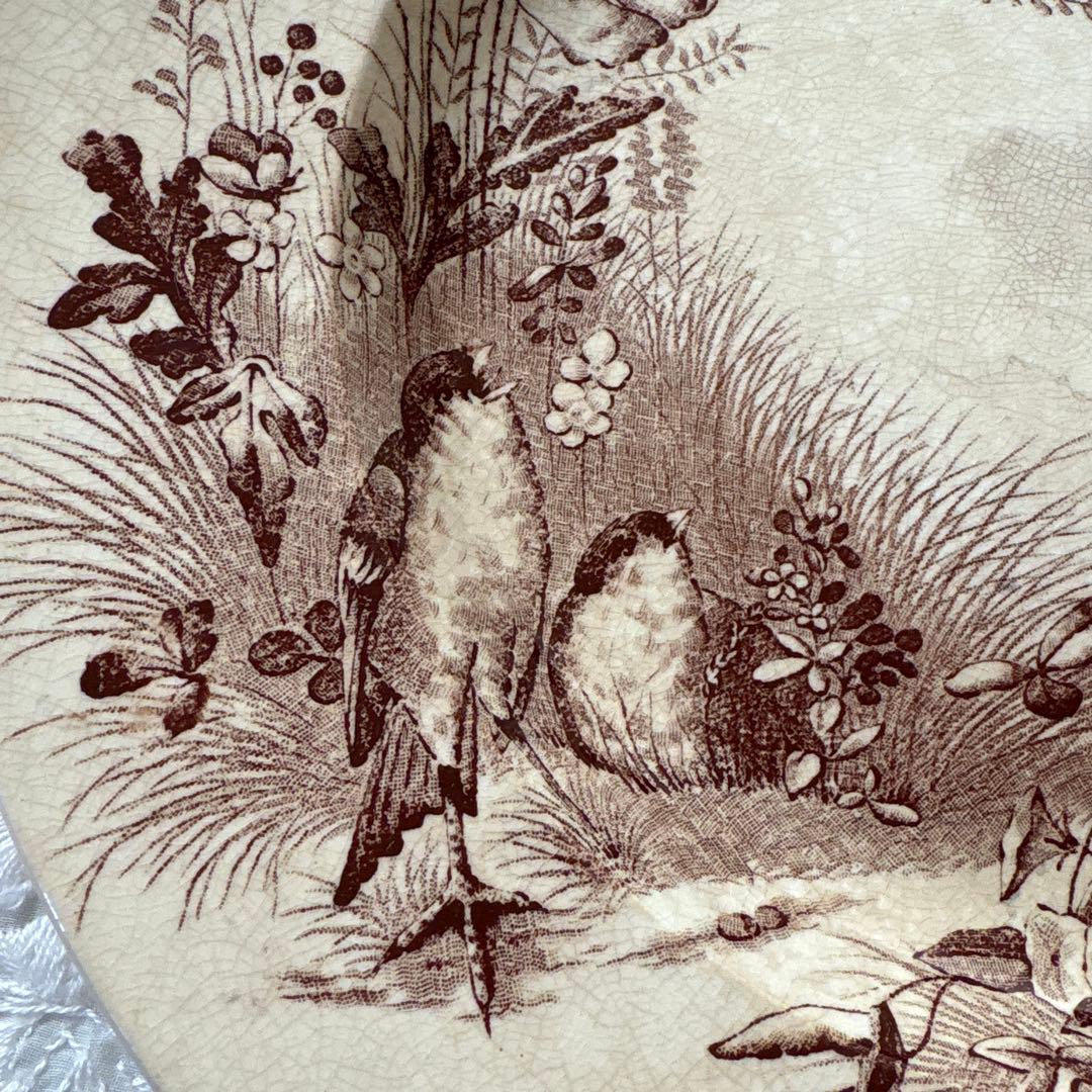 フランス　アンティーク　ボルドー窯　鳥　プレート　大皿