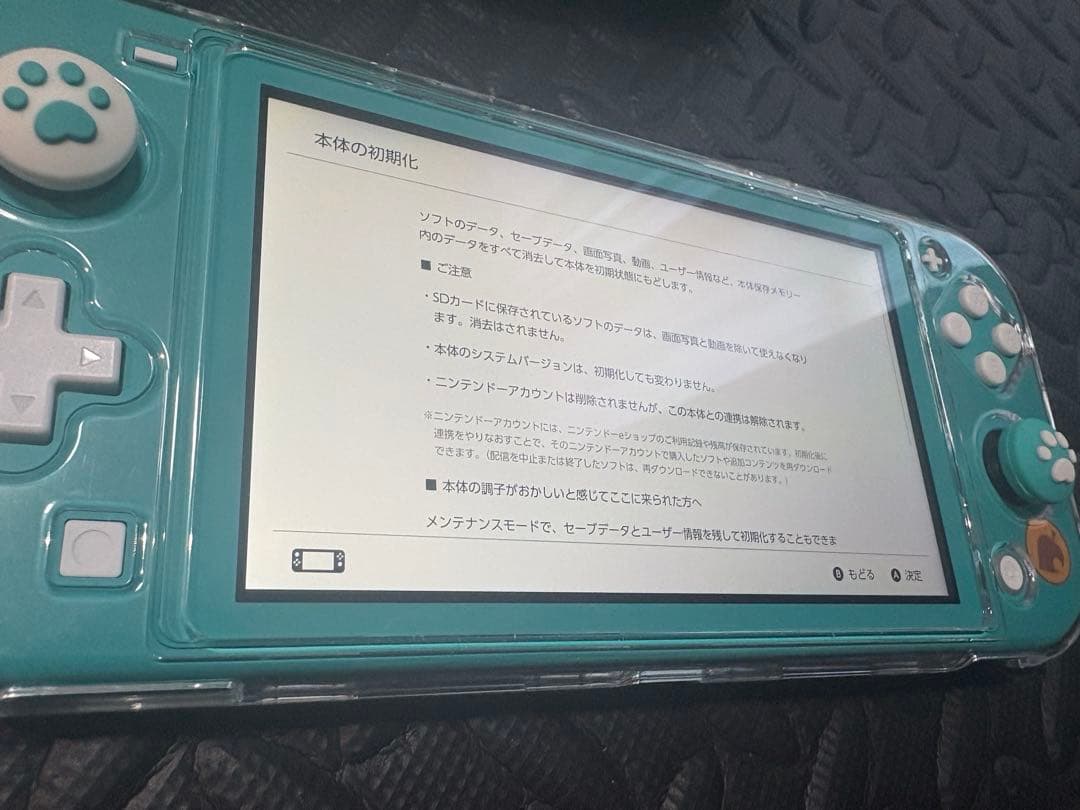 Nintendo Switch Lite 本体とケース