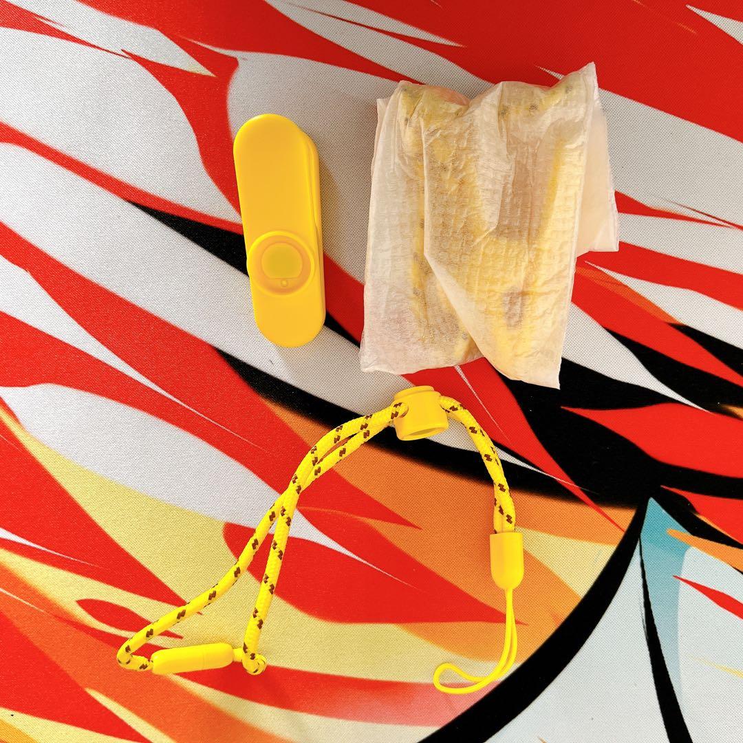 ポケモンGO プラスプラス