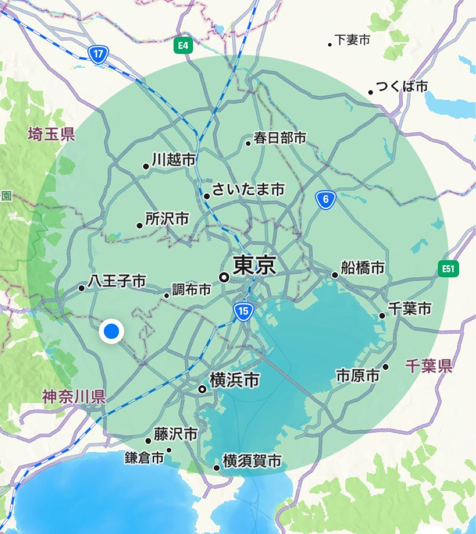 BRIDGESTONE 「ブリヂストン」GREEN LABEL マークローザ