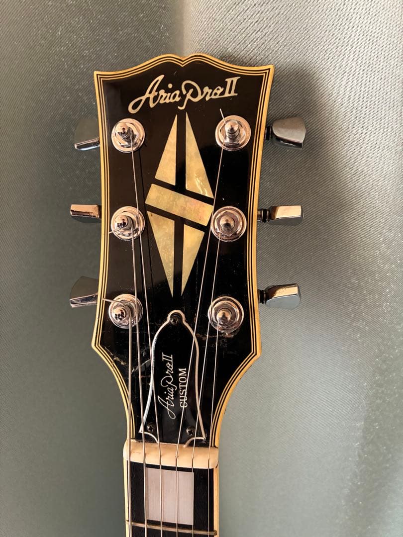 Aria Pro II レスポールカスタム エボニー ジャンク - メルカリ