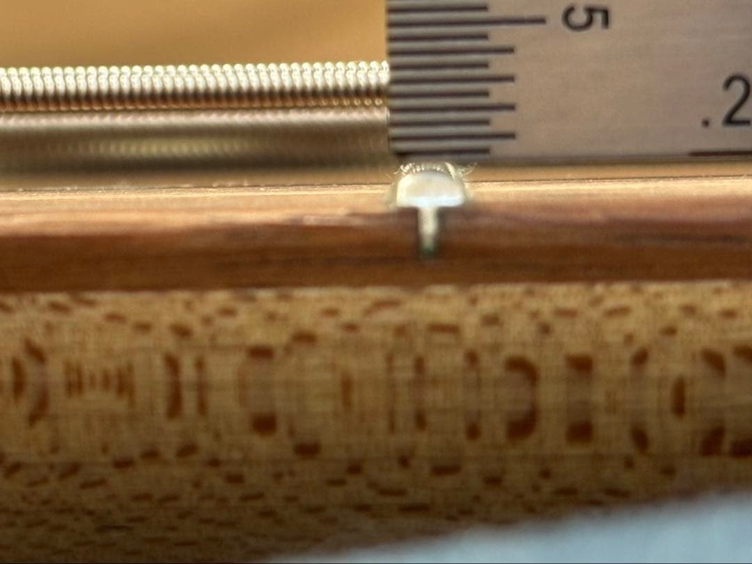 xotic xj-1T 5st サンバースト HRI