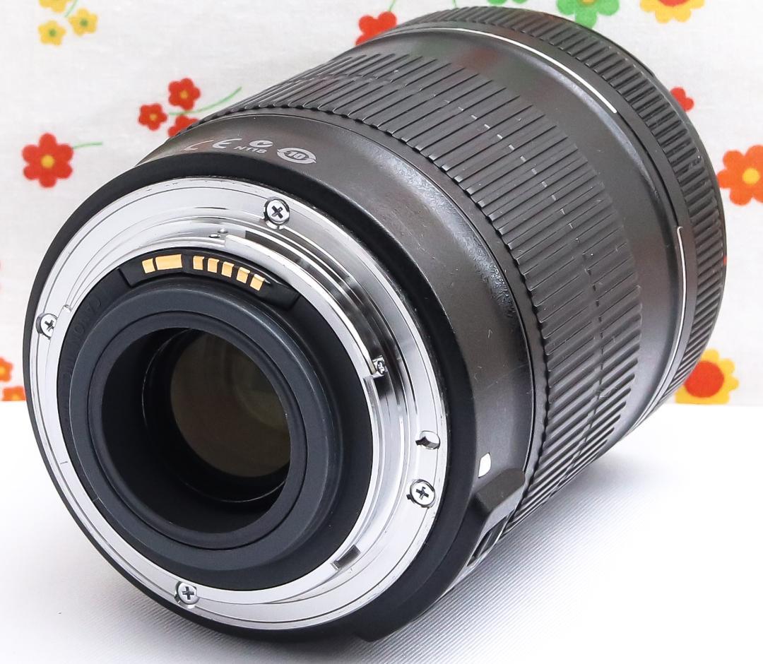 キャノン Canon EF-S 18-135mm☆高倍率レンズ☆広域レンズ！