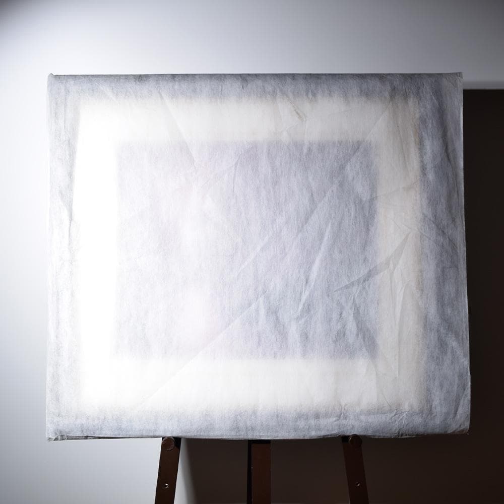 スイベル・ギュレー 欲望の赴くままに シルクスクリーン アールビバン 額装