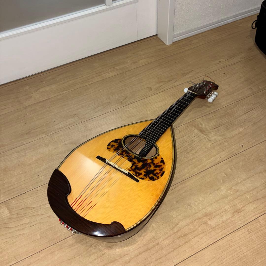 TSUNEO FUJIMARU MODEL ikegaku ANNO マンドリン|mercariメルカリ官方