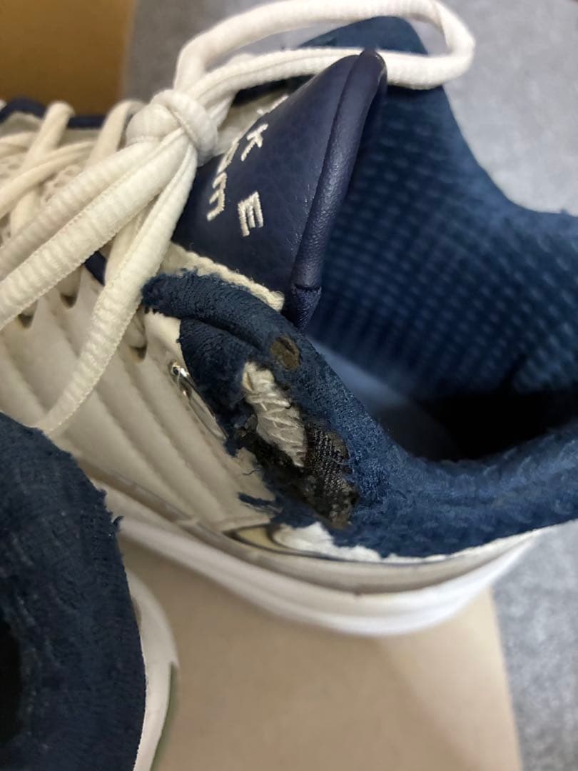 ナイキ エア ズーム フライト アップテンポ 5 V キッド ID