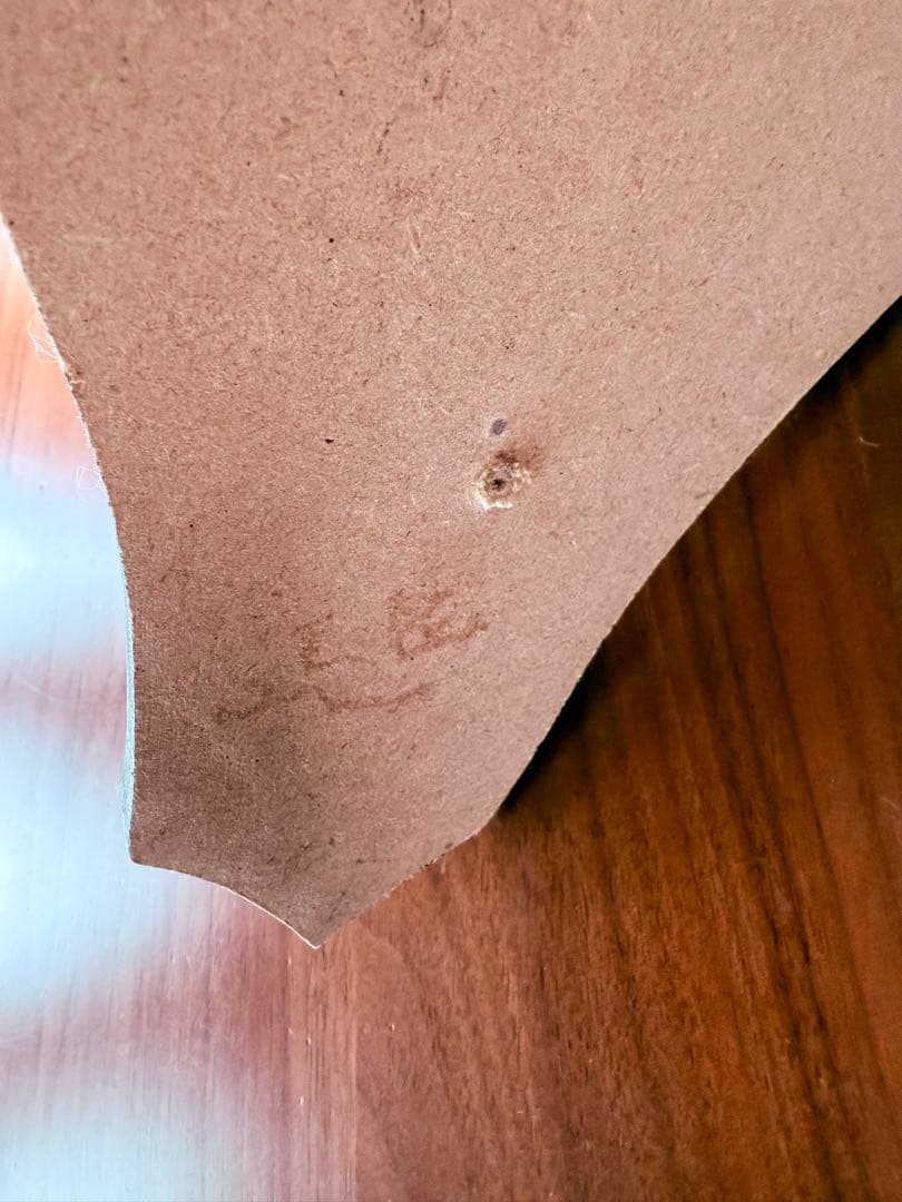 フランス　アンティーク　剥製　カササギ　カラス　ハンティングトロフィー　壁掛け