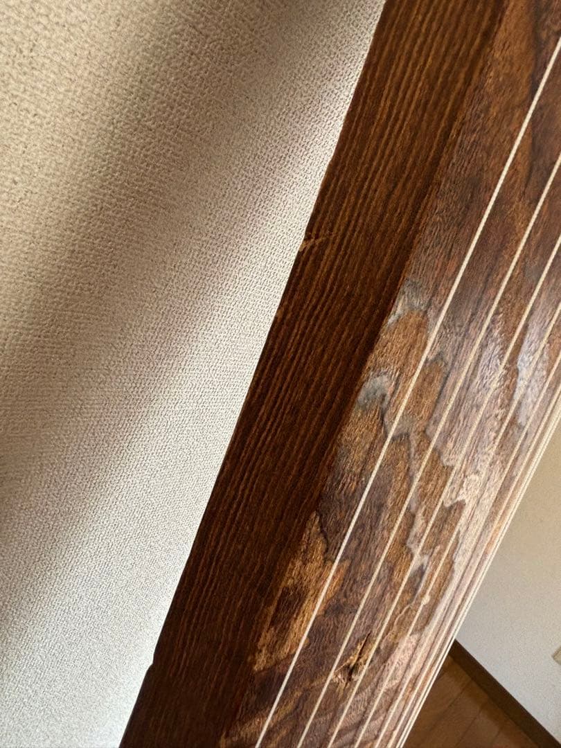 【はーちゃん】