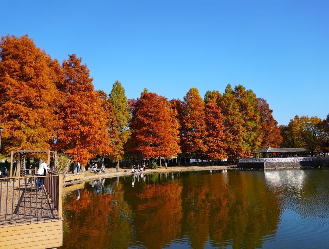 レンズ(ズーム) Sony E 18-135mm f3.5-5.6 OSS SEL18135