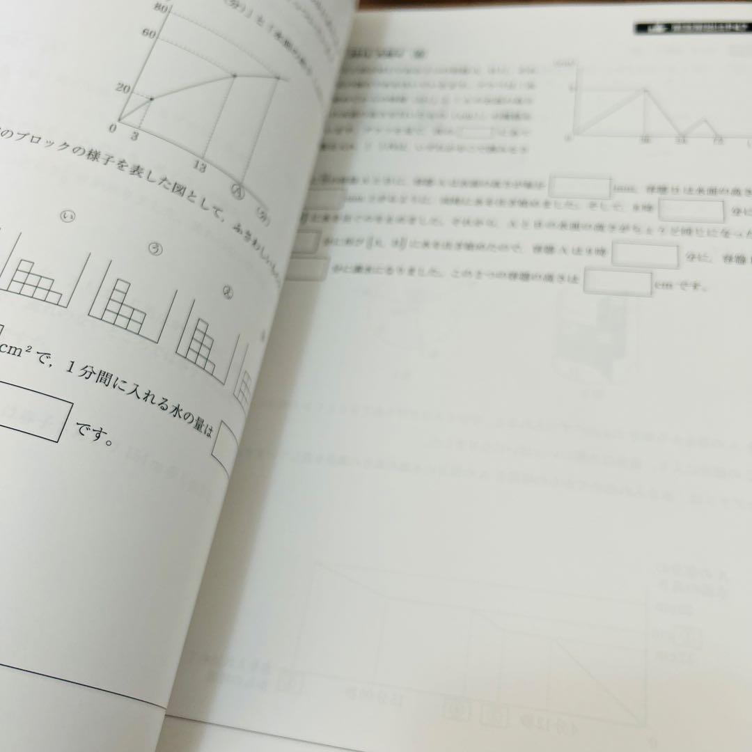 ㉔　新品自宅保管　早稲田アカデミー 【NN女子学院の算数315】