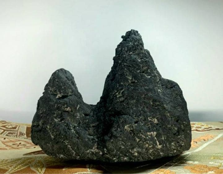 3933 加茂川巣立石 平成与十郎石 桐箱付き 有沢一幸氏作