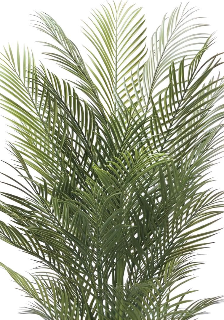 光触媒　人工観葉植物　ウォールグリーン　フェイクグリーン　アレカパーム1.7m