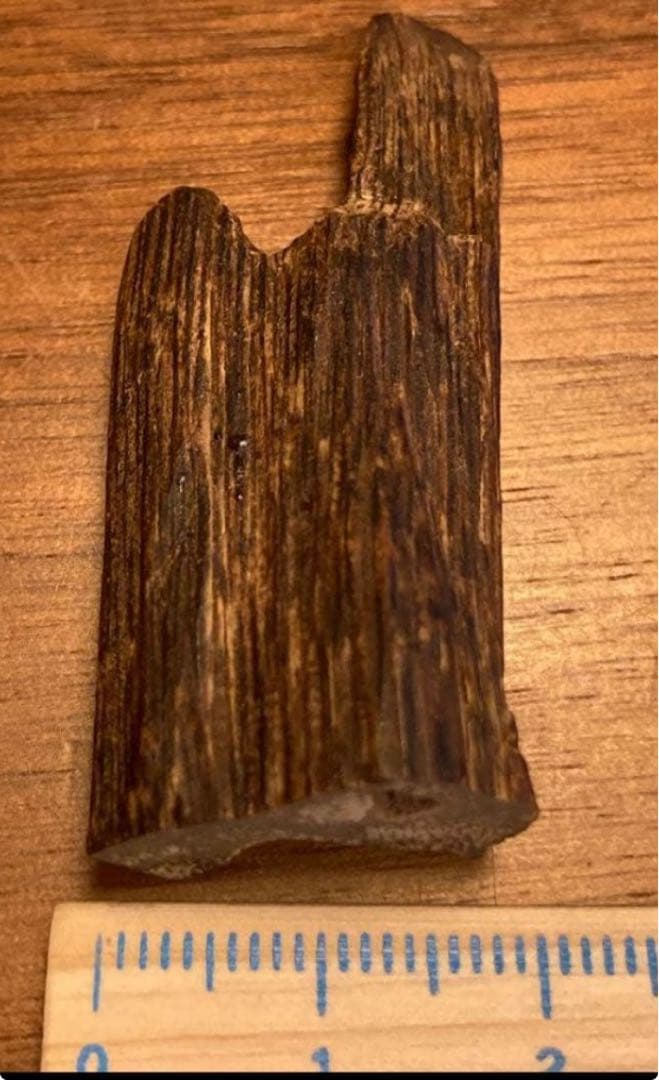 沈水　沈香　香木　タニ　極上　 3.3g