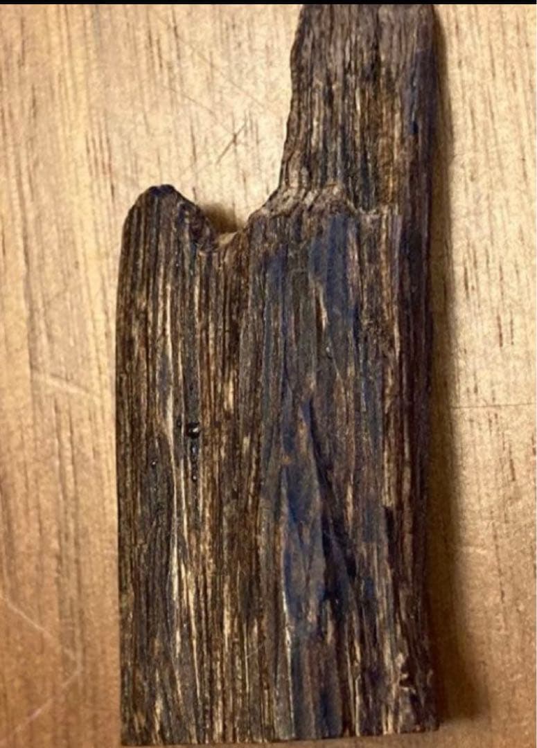 沈水　沈香　香木　タニ　極上　 3.3g